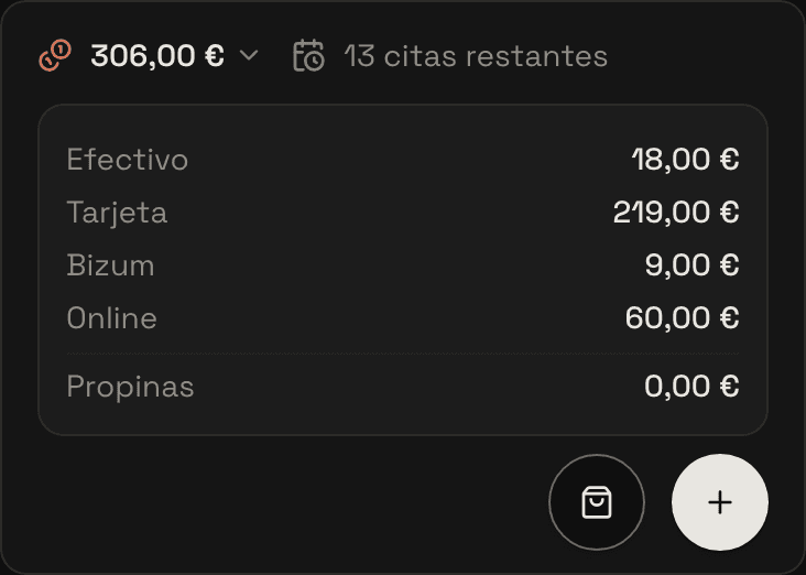«Caja de hoy» de un local con dos profesionales: el total por forma de pago, con lo cobrado por internet aparte.